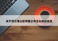 关于荷兰港口区块链公司怎么样的信息